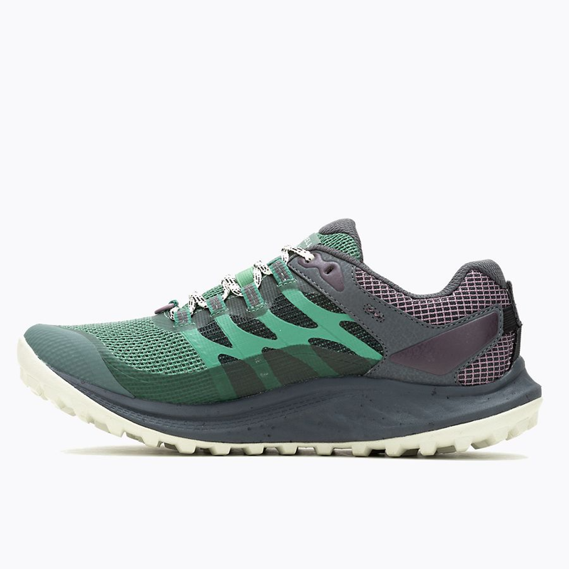 Merrell Antora 3 Gtx Shoe Womens in Pine Green-1